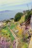 PICTURES/San Francisco Bay Area and Alcatraz/t_Fences on cliff.jpg